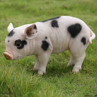 Pig Lawn | Wayfair